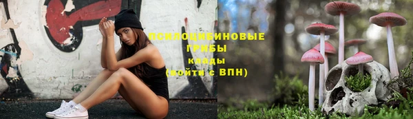 соль ск Надым