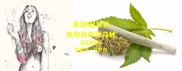 соль ск Надым