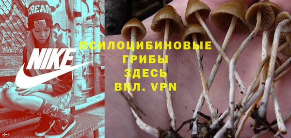 соль ск Надым