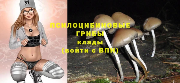 соль ск Надым