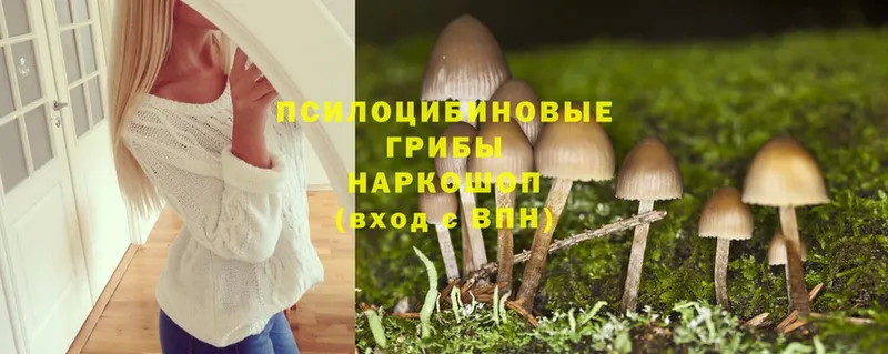 даркнет сайт  Бодайбо  Псилоцибиновые грибы Cubensis 